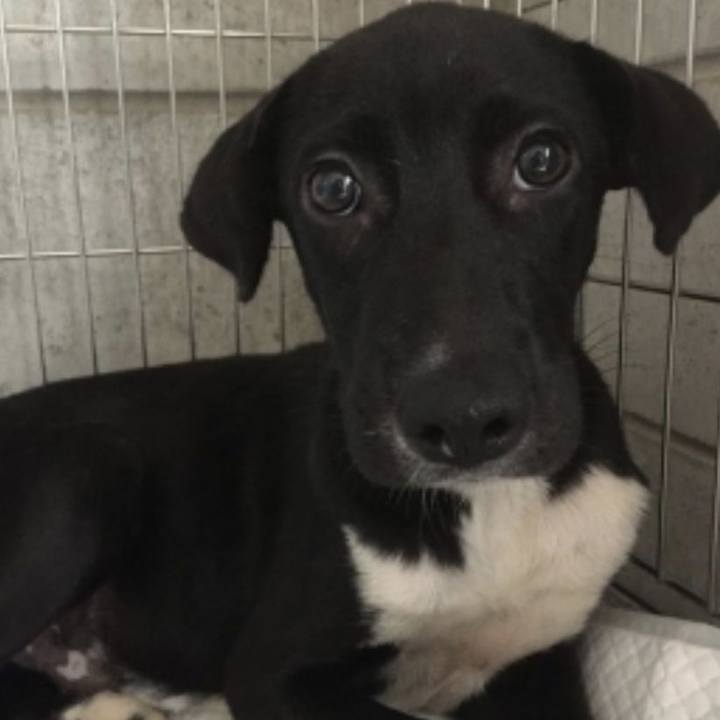 4f5a1674 c0c4 459d 9030 36aefdb236be 1609584311087