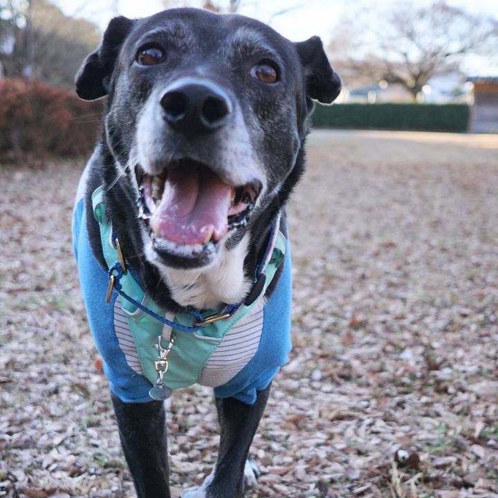 4f5a1dac 2ef3 4203 a57c 1d3a9bee5e55 1771463875228