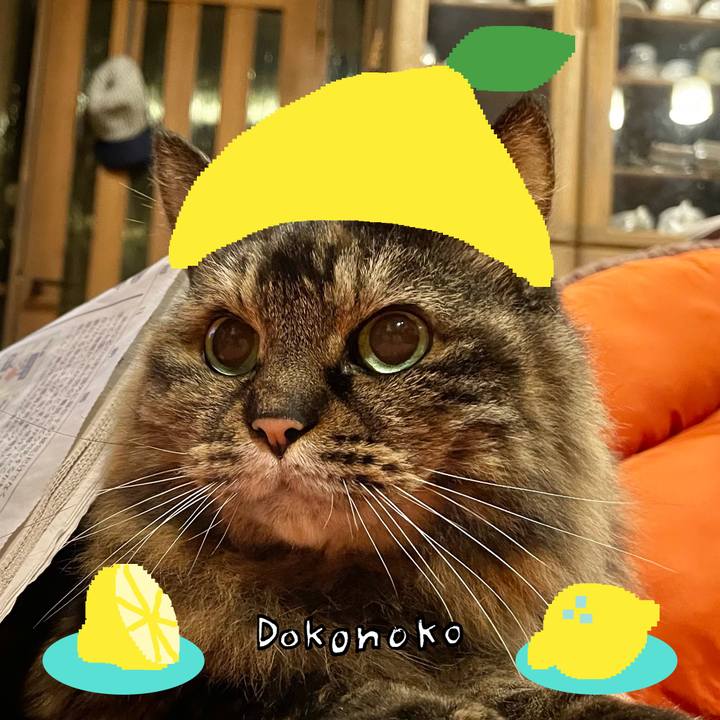 4f5a2429 13eb 4612 b199 fa53feec2ebb 1741228681199