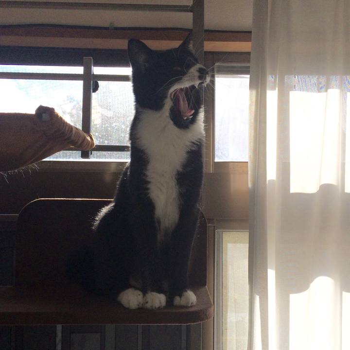 4f5a3850 c732 4a4a b441 9e3154d2ce3a 1513488379061