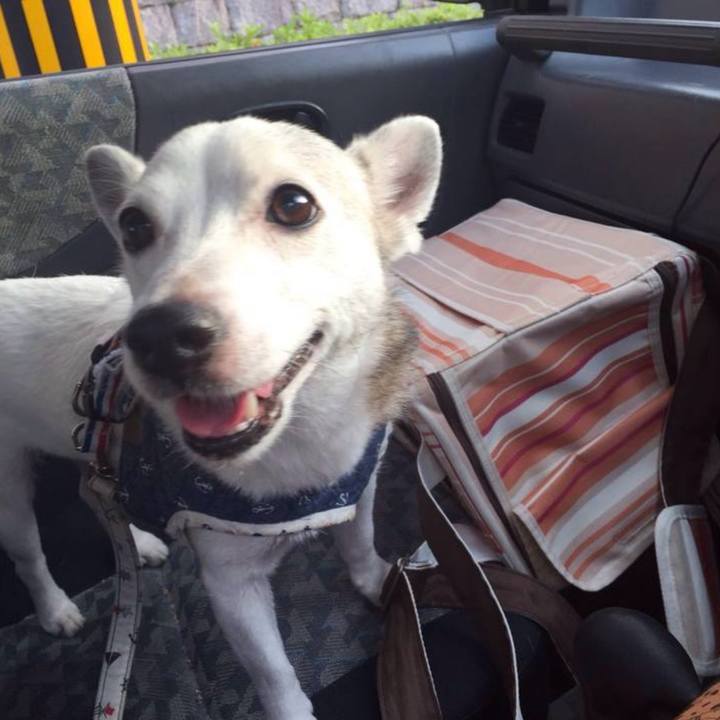 4f5a44f5 61cc 4cc8 9291 17d3e58a4a3f 1762556610424