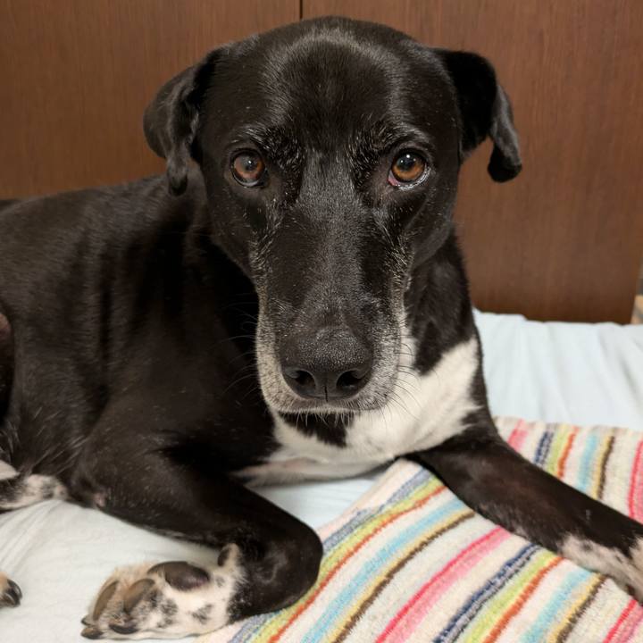 4f5a5ca9 bcbd 4731 9188 ef519f3d264f 1725322556928