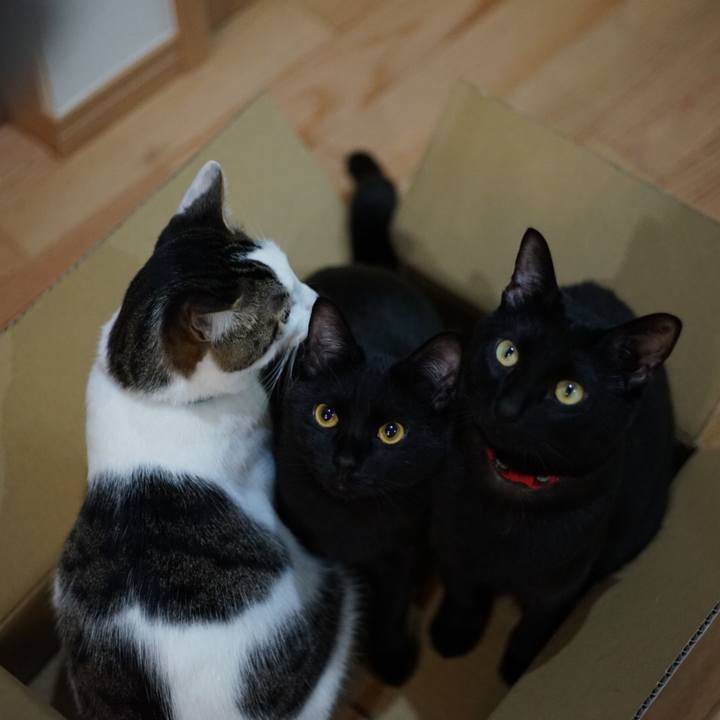 4f5a76c0 0b4e 46de aabb fc4d8ef72e95 1520948185791