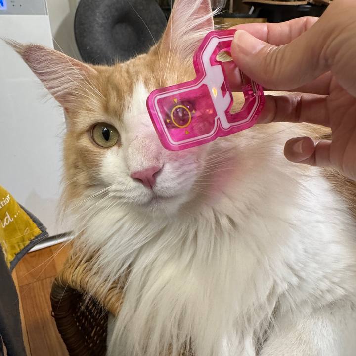 4f5aa249 4ad3 4e40 a3bb b2aacb53c98a 1771325413751