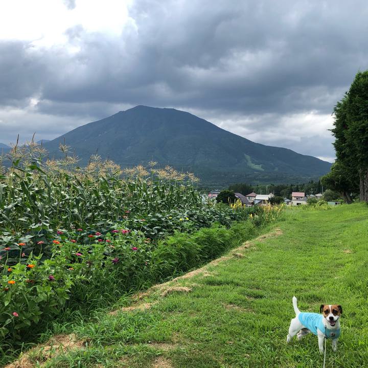 4f5ac00a 29fd 419a 896c ce65323b98c0 1565866695504