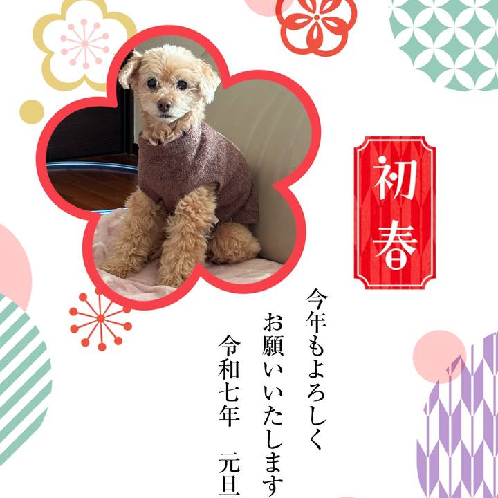 4f5aca23 46aa 41c5 9aa7 8d90fa830d0c 1735720762221