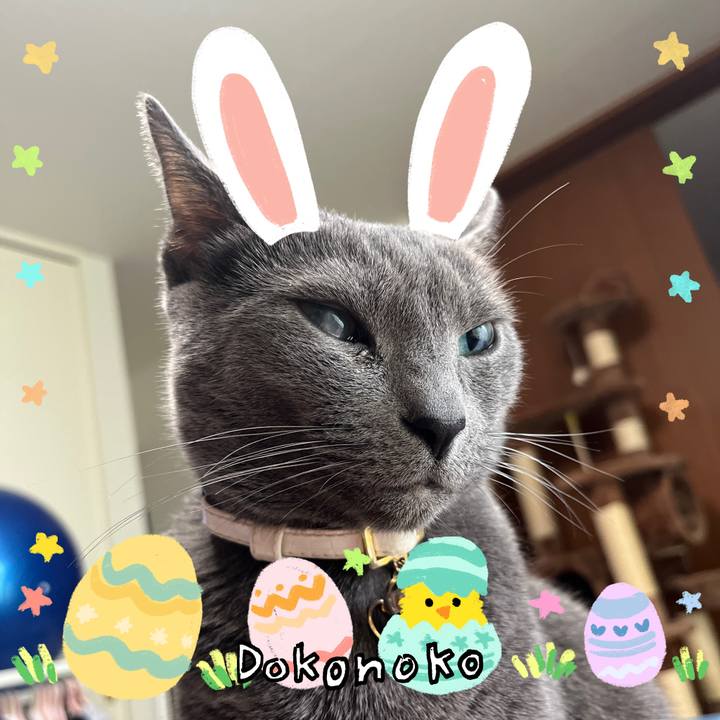 4f5acc24 cd3b 4366 ab2b a9d3741741a2 1712384597726