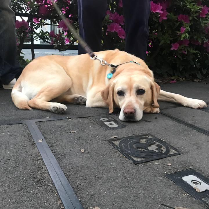 4f5acc3e ae6b 4bea bb01 387a6e270c70 1524302276534