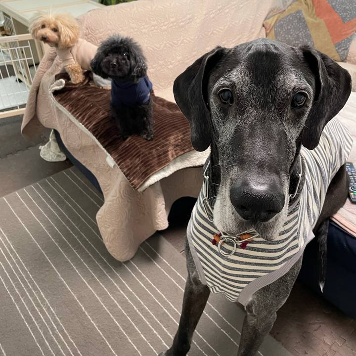 4f5ad2af d438 4923 b0cf db59135fa567 1617144612799