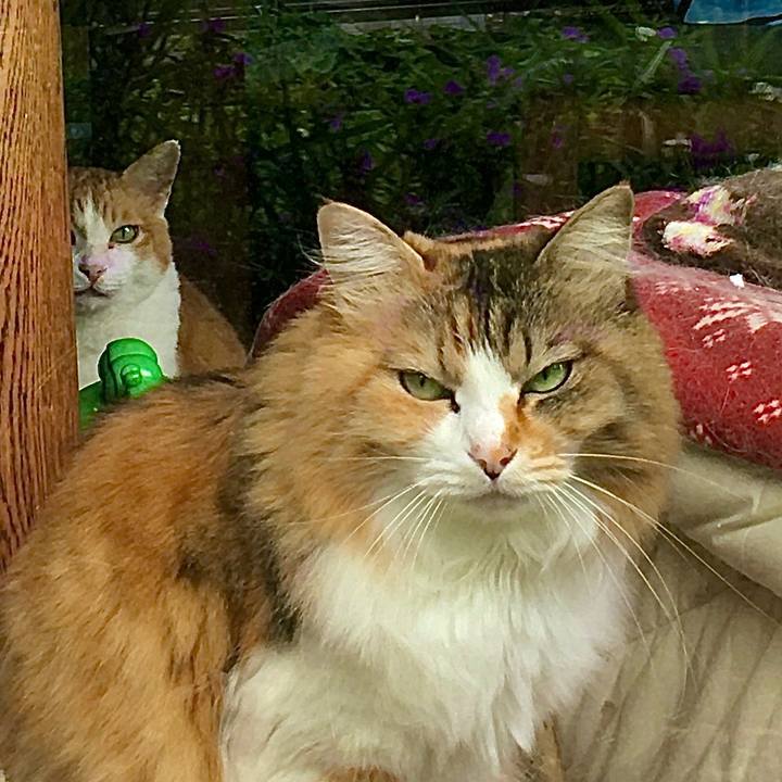 4f5ad619 5bd9 49cd 9289 8f2717ae4384 1622762013675