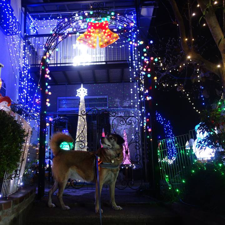 4f5ae09c 5b26 4d79 8957 2220d86ec83c 1545303669749