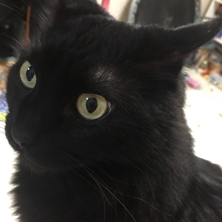 4f5aecdf 54f8 4404 abb4 fbdad0784efa 1560173662496