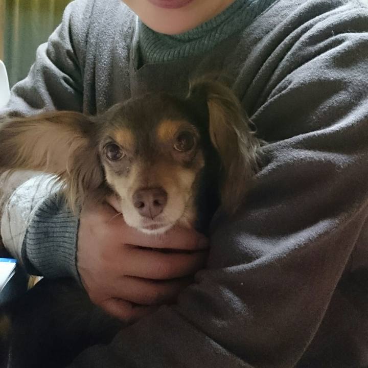 4f5b3608 ff45 4aee beb9 fa66b81ce7b4 1515672636112