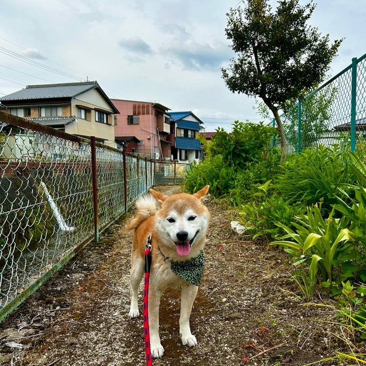 4f5b427c 049c 4f03 82fa 5aee7ffd26f9 1716451973462