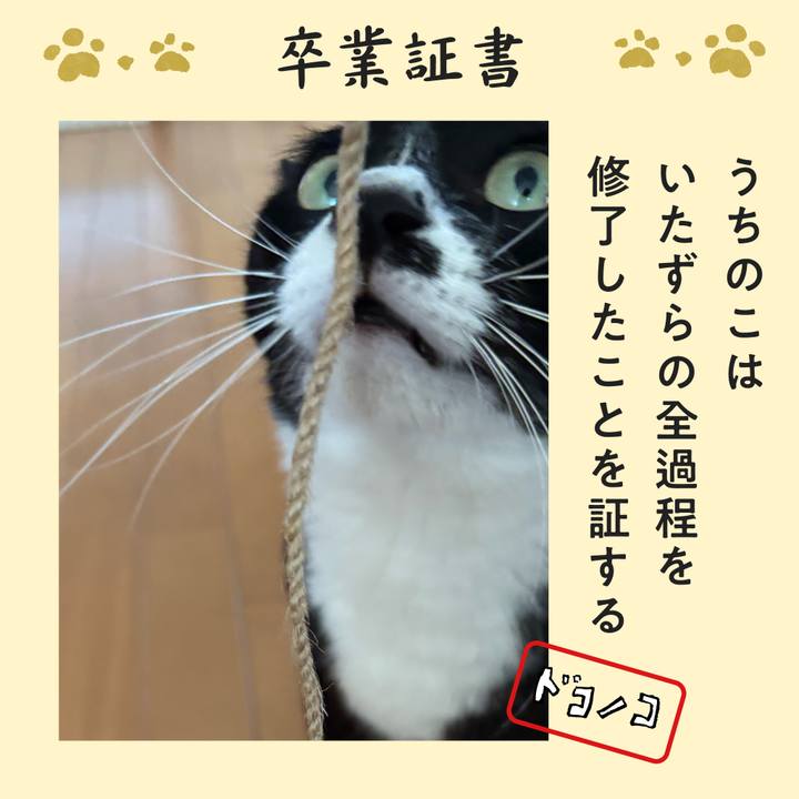 4f5b5411 4360 4066 a0ad 961f802a72b4 1771848101606