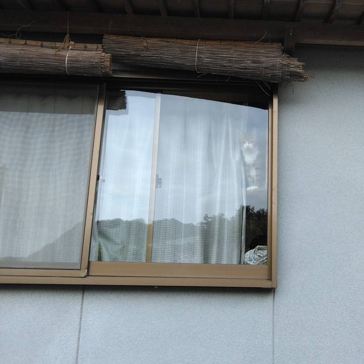 4f5b7850 761e 4081 b781 7eeda1e4c1b4 1745842034515