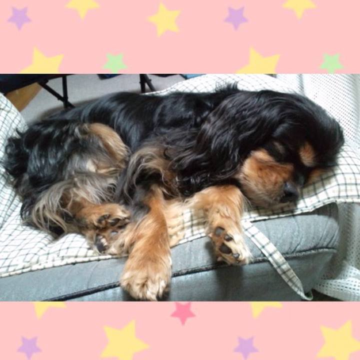 4f5b8062 64ec 44b5 a811 afe06780f9b8 1511435554183