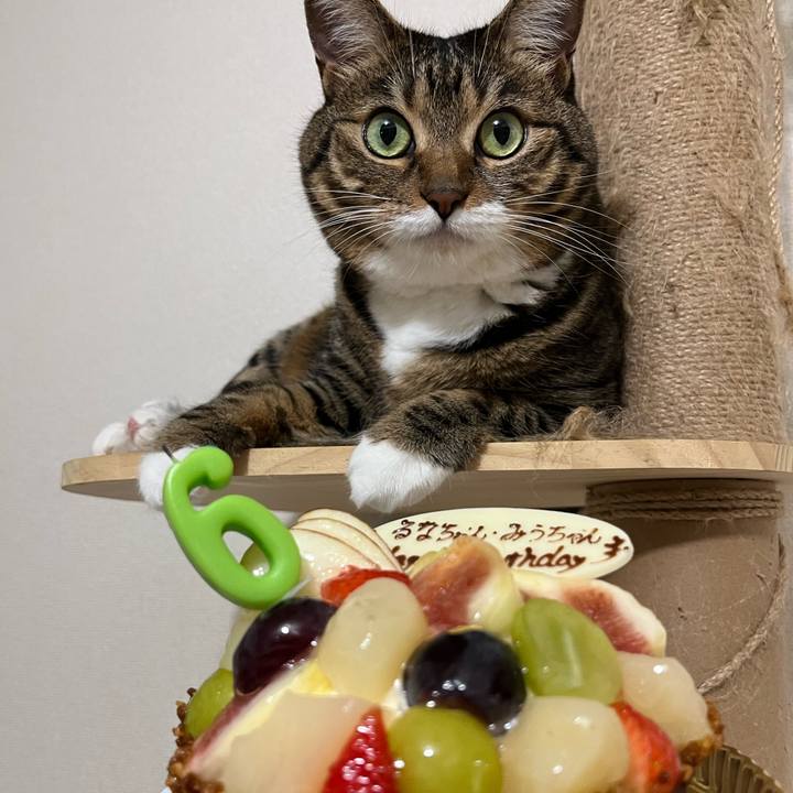 4f5bd17d 39e6 4efc 9f3e 84c2e8ec1a15 1694179573021