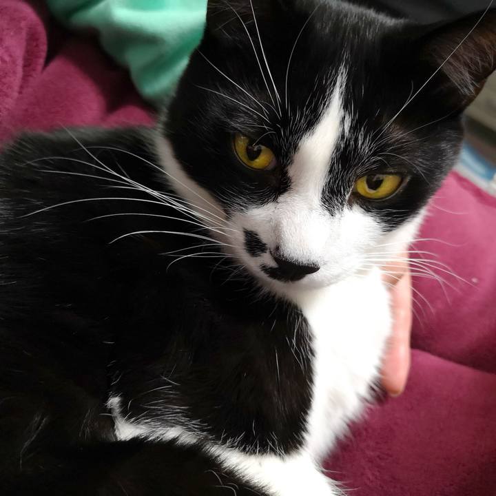 4f5bef54 89e9 4374 836e 084b9ce4a33e 1545213986525