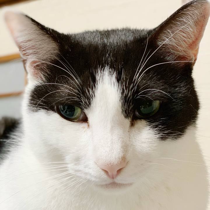 4f5bf406 a944 4f28 8155 beda123eb43b 1542678656618