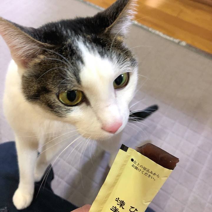 4f5bf85e 1a65 4968 843f 23ac95196f9b 1641902079935