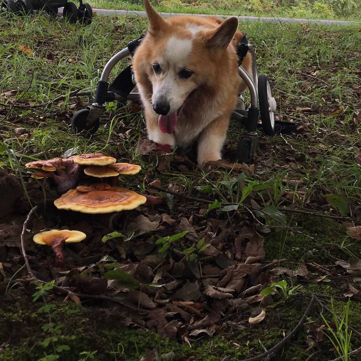 4f5bfc21 e1c8 4eb6 96e5 15ad99ea646b 1569253918045