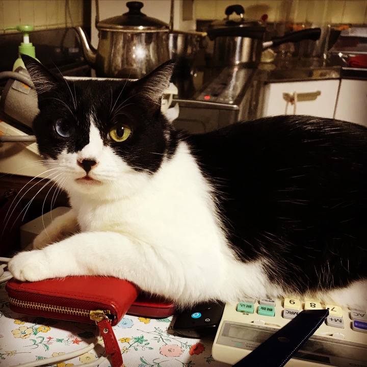 4f5c556e 5979 48bc 834f 7b71e9ccd222 1664252997261