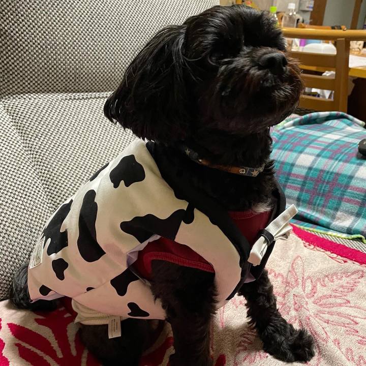 4f5c729c 5027 400c b8f0 fe67383ce8b8 1611503819463