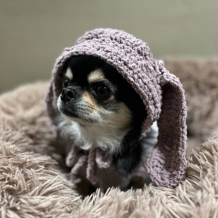 4f5c9729 cb6a 40fa 814f 748f69b5869a 1665881187544