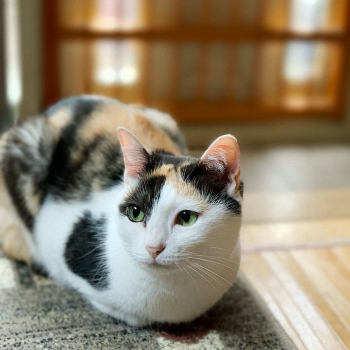 4f5cdb45 c4b8 4304 a531 c32d8ad036d9 1599360419181