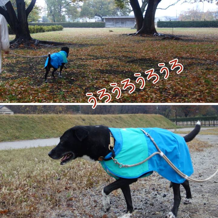 4f5ce025 33de 4d00 b985 13e04c1dfdf1 1668472836049