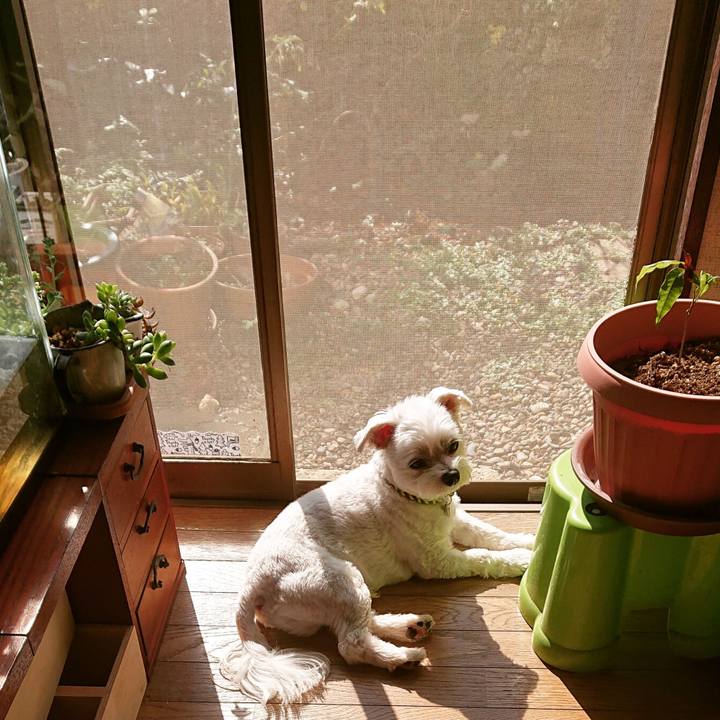 4f5cfb58 65fa 4d65 9138 73fda7cf5cef 1572432117693