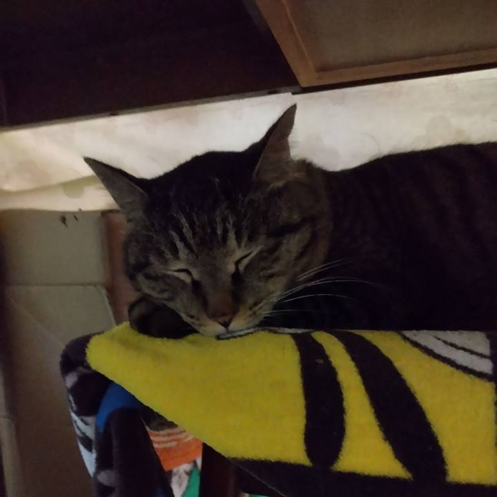 4f5d133c 9bb1 4cb9 a7ee eb4a84de0a9d 1679263042118