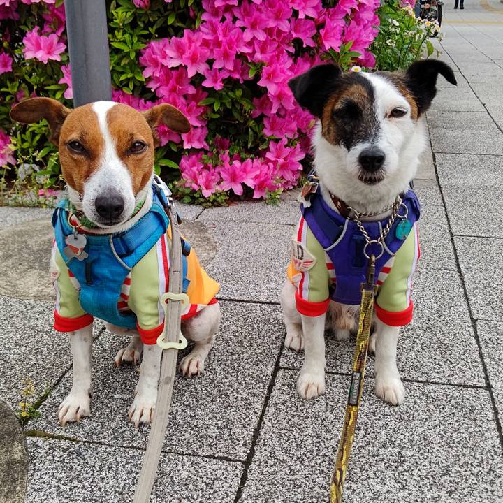 4f5d1aa3 3065 4848 9a4a 8f8cc8318cf3 1650926444627