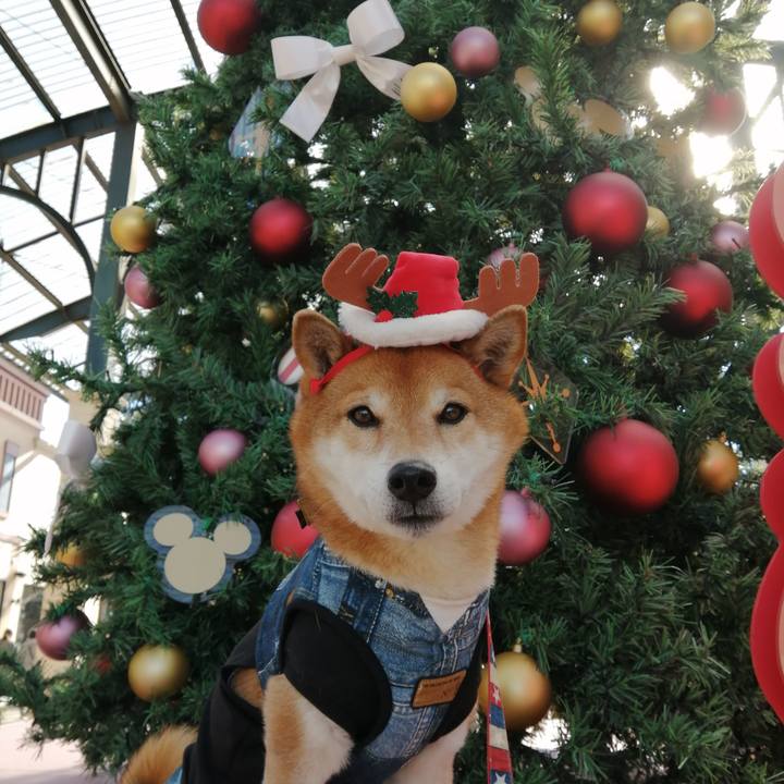 4f5d3bb0 4f95 4f89 ae3d b8256ffa6e01 1671531512854