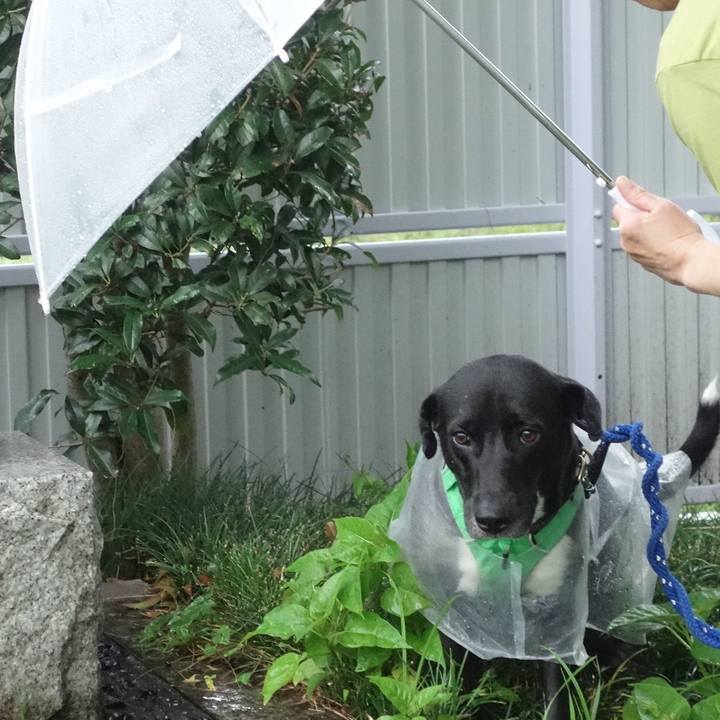 4f5d9763 2ba6 4004 8cbb 575709945371 1594807409174