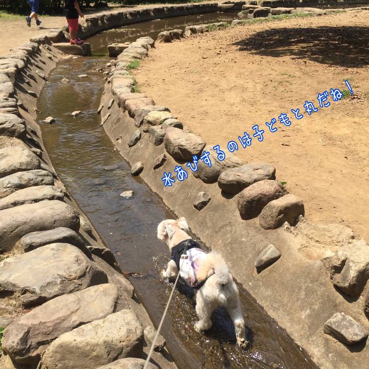 4f5da71f 1b40 48ec babe c8bcc47b972e 1527416454294