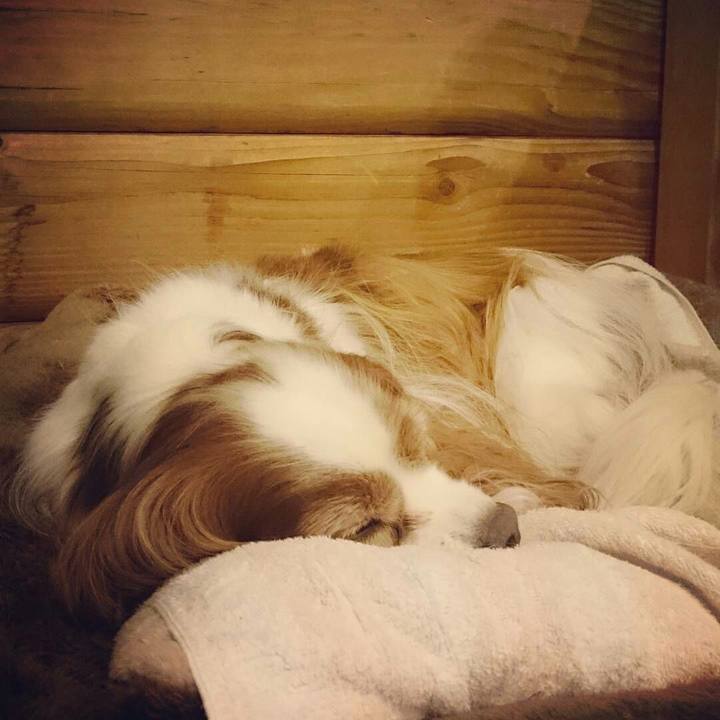 4f5daa98 45ba 4cb4 83a5 f5ad63d79441 1512127573114