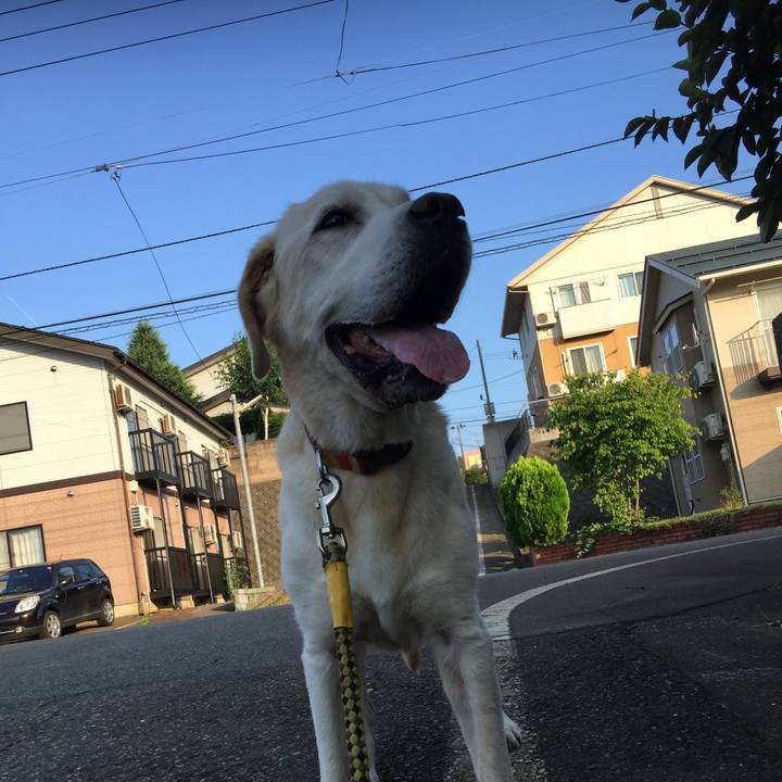 4f5dec99 ad56 4c48 a9fd ccd16b862e7c 1532387290641