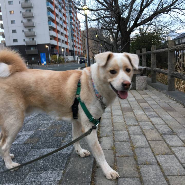 4f5dff62 16ae 451f 96c6 b985aba72ab2 1514102145231