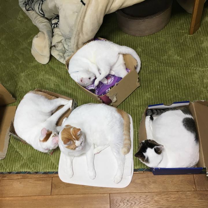 4f5e20a3 075c 4ef8 bcc4 4a12eed8c569 1544706716968