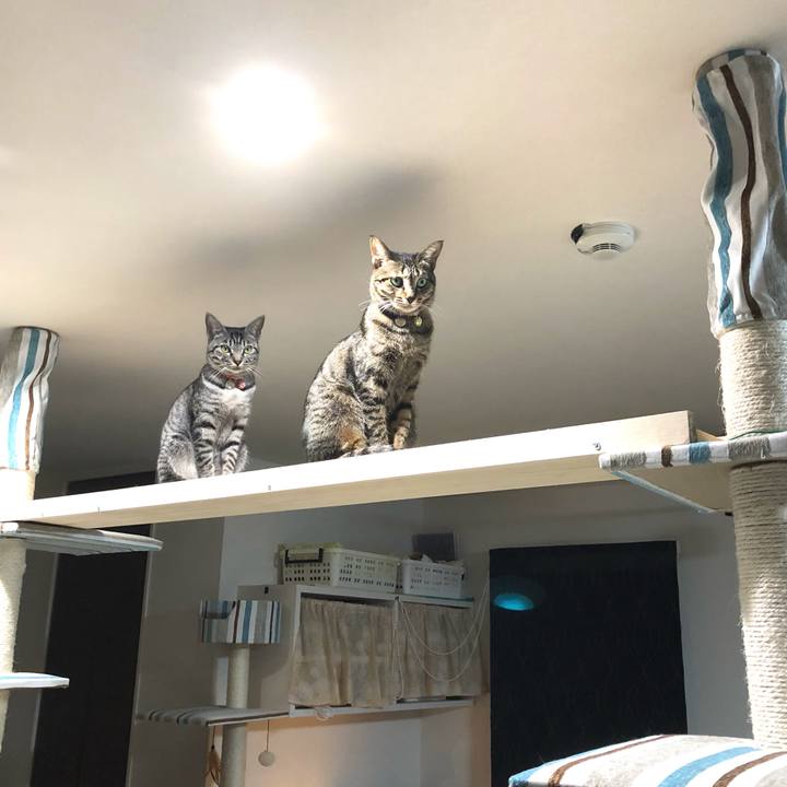 4f5e30b4 ff22 49a2 a78f 2f3311b7e255 1547118295297