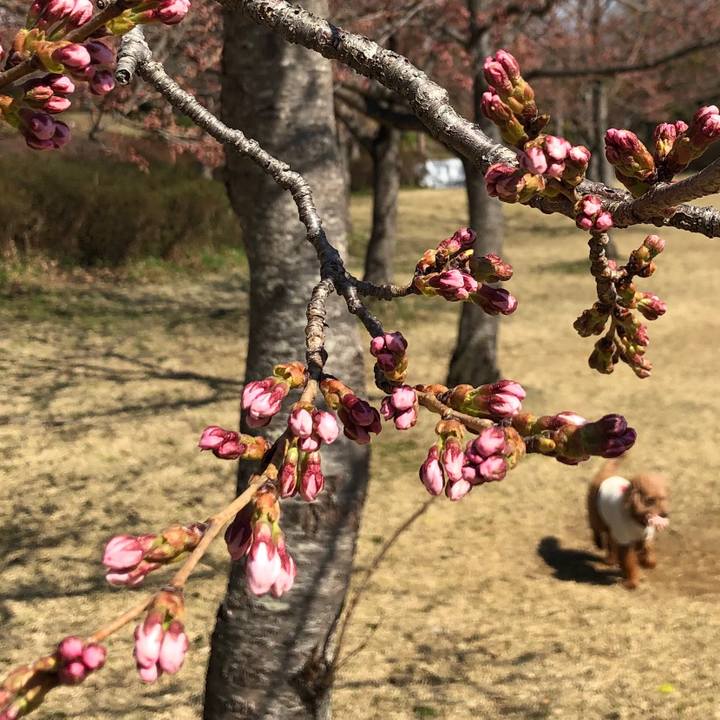 4f5e5aff 8679 412b 82b6 a3a06f1207b6 1554511909908