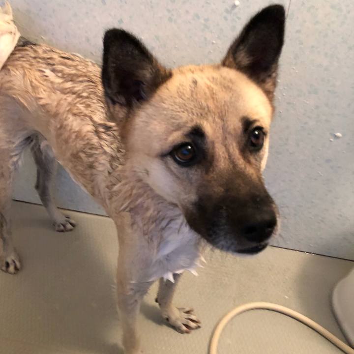 4f5e62ae e685 462b a8cc 8d599956dfcc 1540027060850