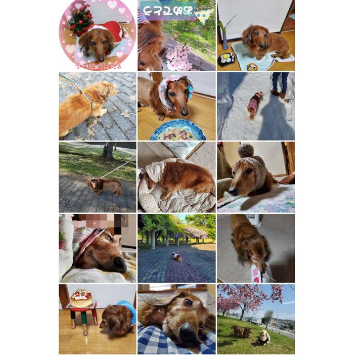 4f5e94a8 5900 4798 8946 78bac9c9953f 1762946571445