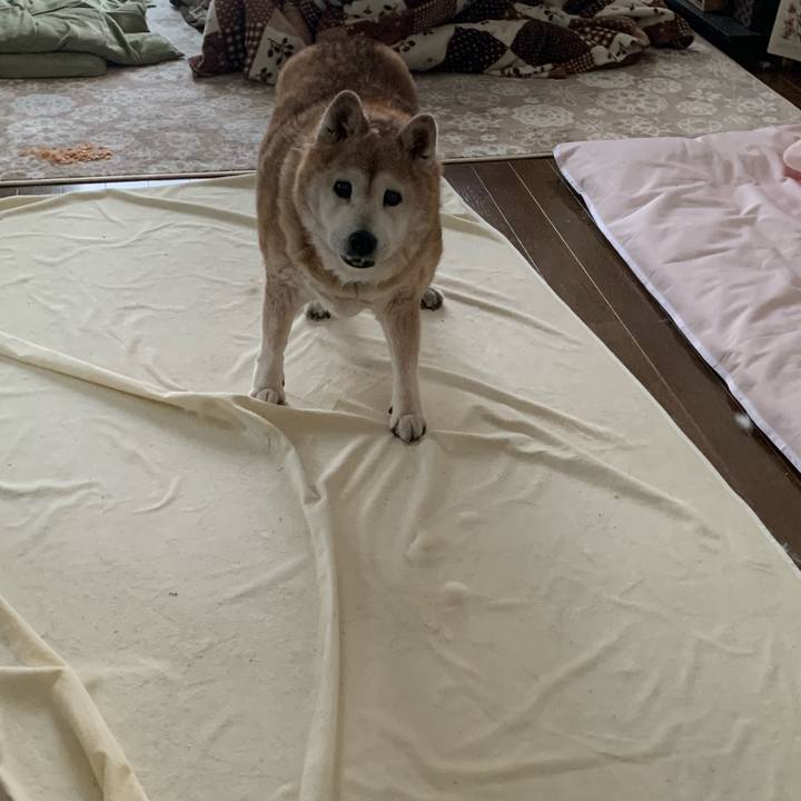 4f5ee8ec f992 469f 9dd6 ee49a5d856ed 1672786129062