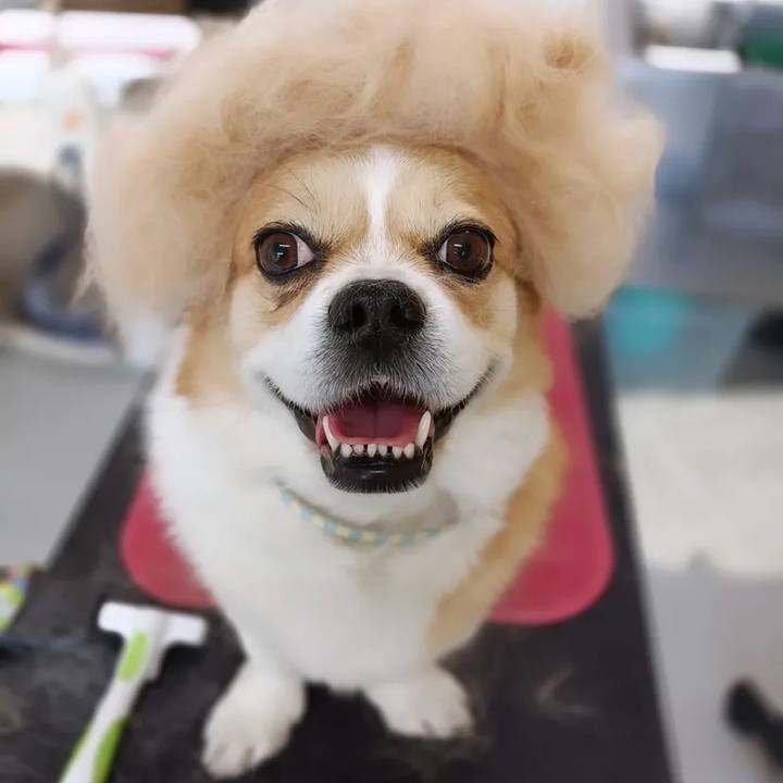 4f5ee9ee ab40 486a b17c 0eca12c9446b 1742991199595