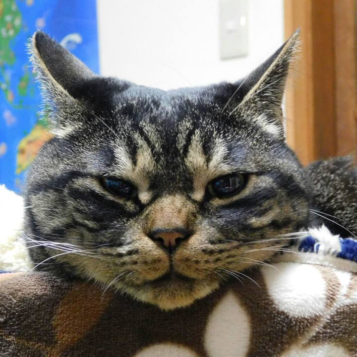 4f5f0883 3662 4268 bebd 0d500a2a9b51 1545648454664