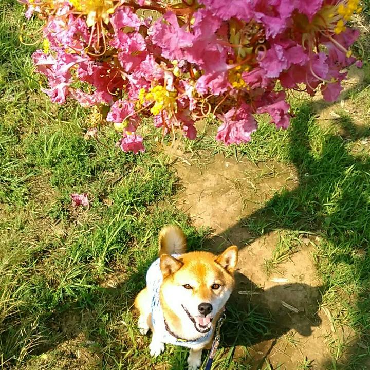 4f5f35dd 779d 43d9 aecd 76d27525fe57 1564554984524