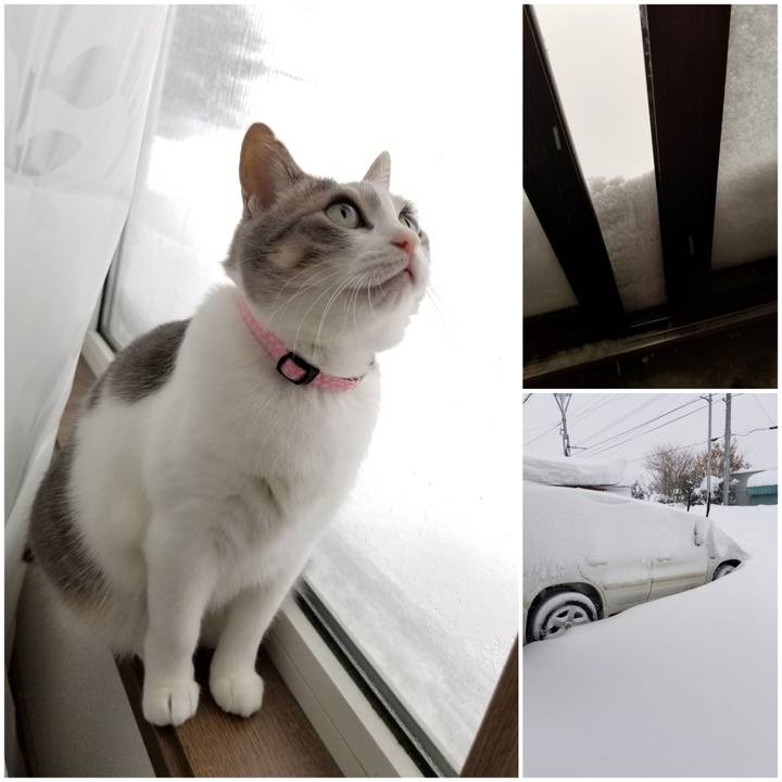 4f5f3fff 059c 4d86 a67e 9063ffc102e7 1583451058412